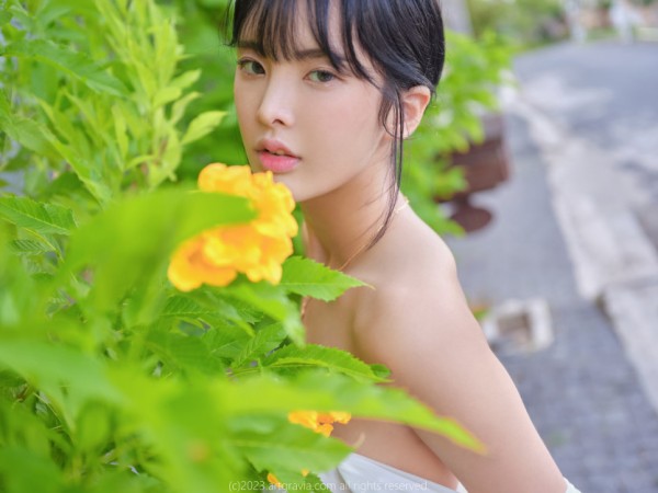 96a8a6c2c5ef73db27e97a273d8e3d32_1688405250_297.jpg