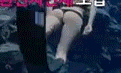 15278962227461.PNG